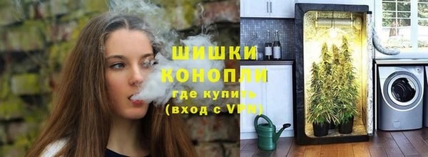 прущие грибы Няндома