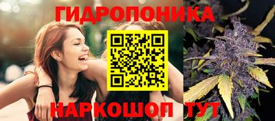 не бодяженный Гатчина