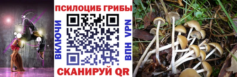 даркнет сайт  Еманжелинск  Псилоцибиновые грибы Cubensis 